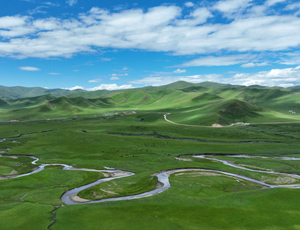 ظԭ׬F(xin)ŷ I(lng)Ї(gu)̼к